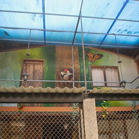 Hostal Los Farolitos 明多 外观 照片