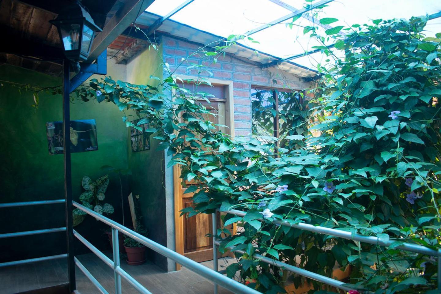 Hostal Los Farolitos 明多 外观 照片